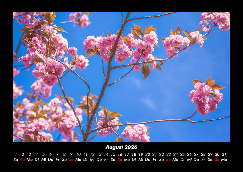 Blumenträume Fotokalender 2026 - 8