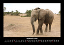 Elefanten - Die sanften Riesen Afrikas Fotokalender 2026 - 9