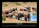 Elefanten - Die sanften Riesen Afrikas Fotokalender 2026 - 10