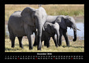 Elefanten - Die sanften Riesen Afrikas Fotokalender 2026 - 12