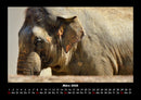 Elefanten - Die sanften Riesen Afrikas Fotokalender 2026 - 3