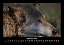 Welt der Tiere Fotokalender 2026 - 9