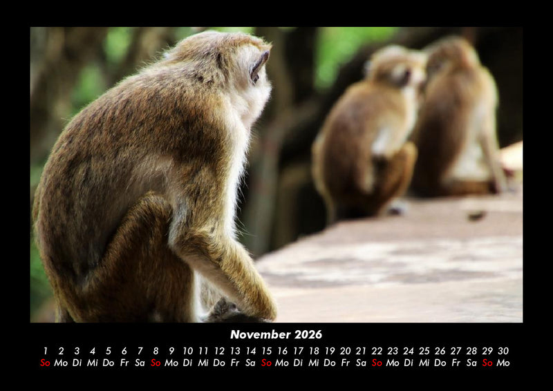 Welt der Tiere Fotokalender 2026 - 11