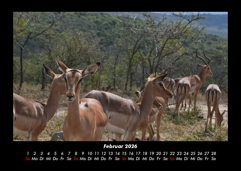 Welt der Tiere Fotokalender 2026 - 2
