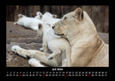 Welt der Tiere Fotokalender 2026 - 7