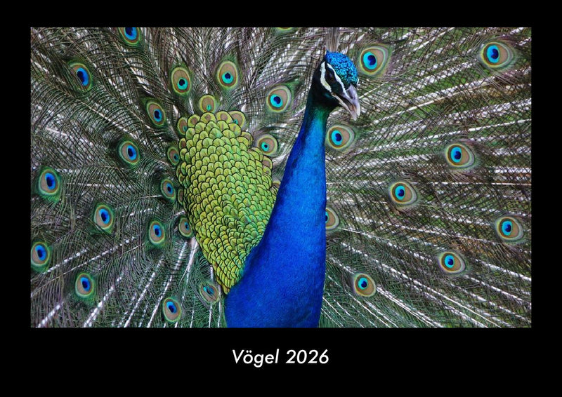 Vögel Fotokalender 2026 - Hauptbild