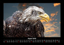 Vögel Fotokalender 2026 - 8