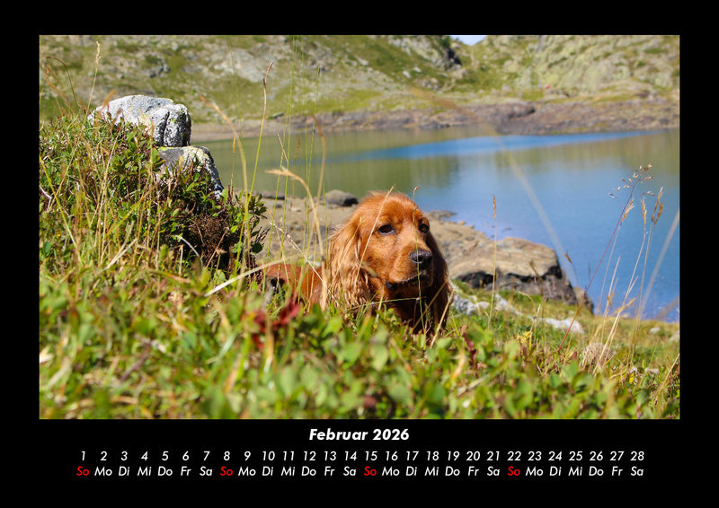 Landschaftskalender Fotokalender 2026 - 2