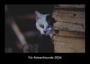 Für Katzenfreunde Fotokalender 2026 - Hauptbild