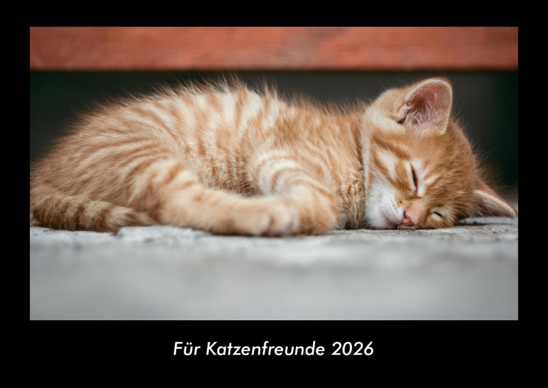 Für Katzenfreunde Fotokalender 2026 - Hauptbild