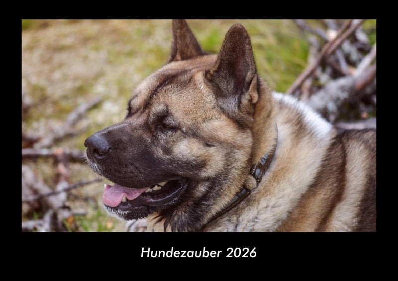 Hundezauber Fotokalender 2026 - Hauptbild