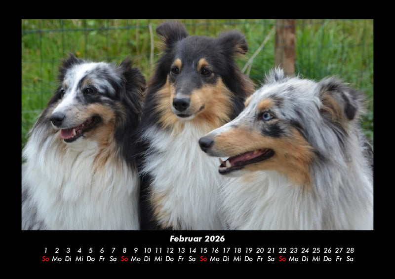 Hundezauber Fotokalender 2026 - 2