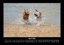 Hundezauber Fotokalender 2026 - 4