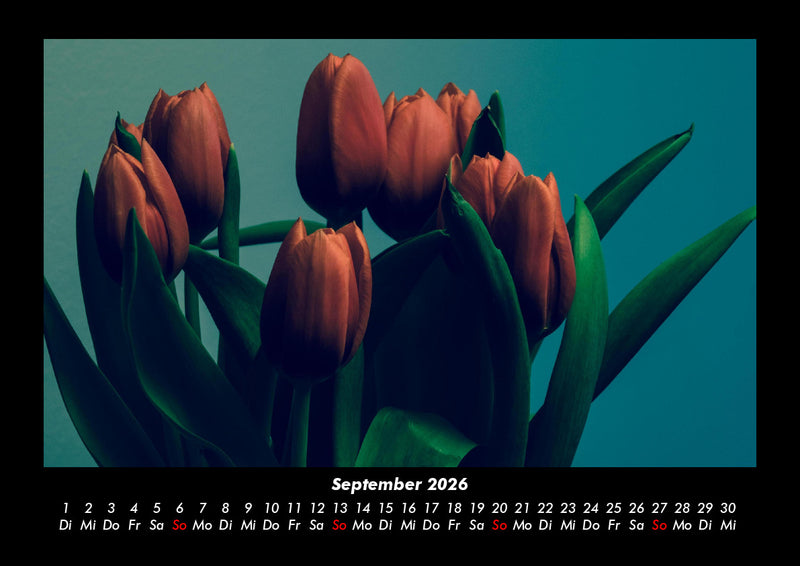 Blumenkalender Fotokalender 2026 - 9