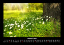 Blumenkalender Fotokalender 2026 - 10