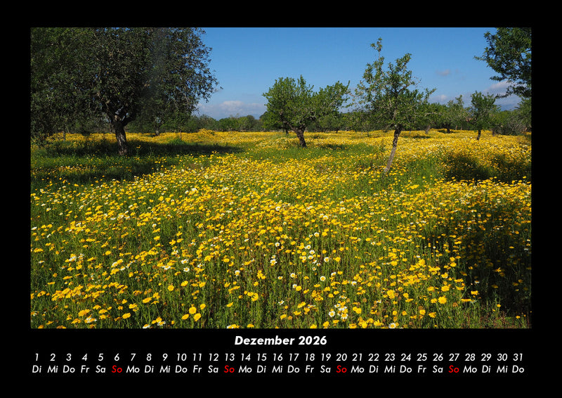 Blumenkalender Fotokalender 2026 - 12