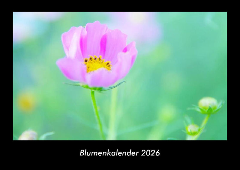Blumenkalender Fotokalender 2026 - Hauptbild