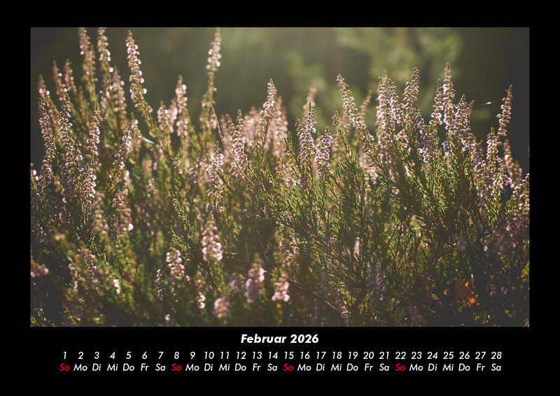 Blumenkalender Fotokalender 2026 - 2