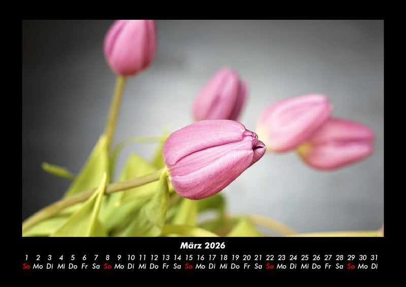 Blumenkalender Fotokalender 2026 - 3