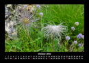 Bilder der Natur Fotokalender 2026 - 10