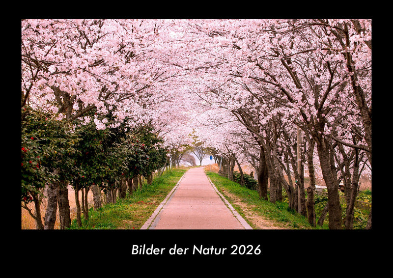 Bilder der Natur Fotokalender 2026 - Hauptbild