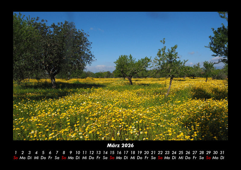 Bilder der Natur Fotokalender 2026 - 3