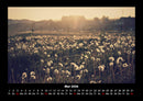 Bilder der Natur Fotokalender 2026 - 5