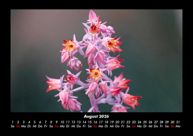 Bilder der Natur Fotokalender 2026 - 8