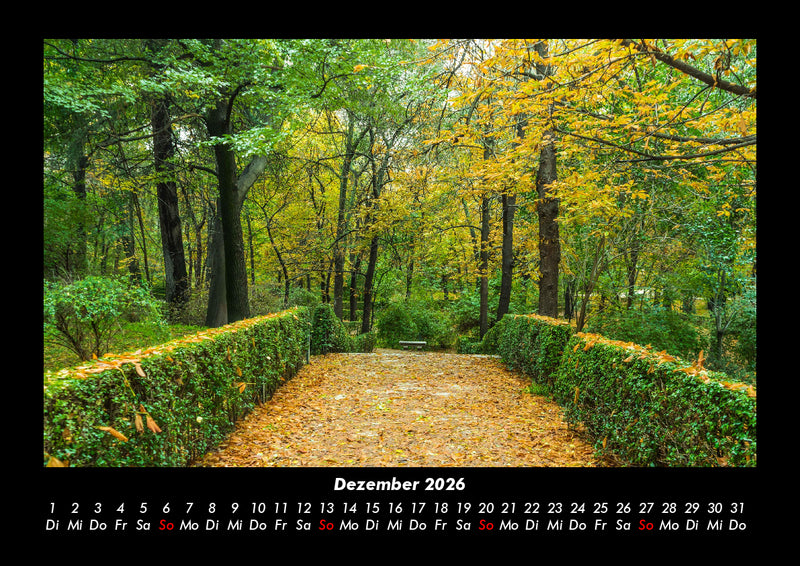 Natur Fotokalender 2026 - 12