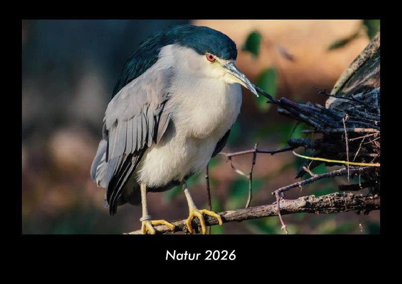 Natur Fotokalender 2026 - Hauptbild