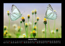 Natur Fotokalender 2026 - 1