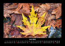Natur Fotokalender 2026 - 6