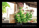 Blumen & Pflanzen Fotokalender 2026 - 10