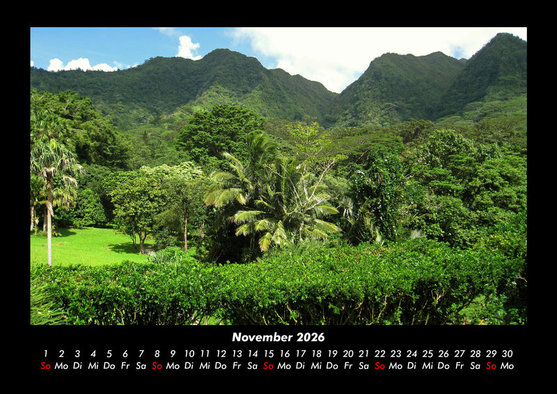 Blumen & Pflanzen Fotokalender 2026 - 11