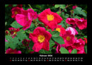 Blumen & Pflanzen Fotokalender 2026 - 2