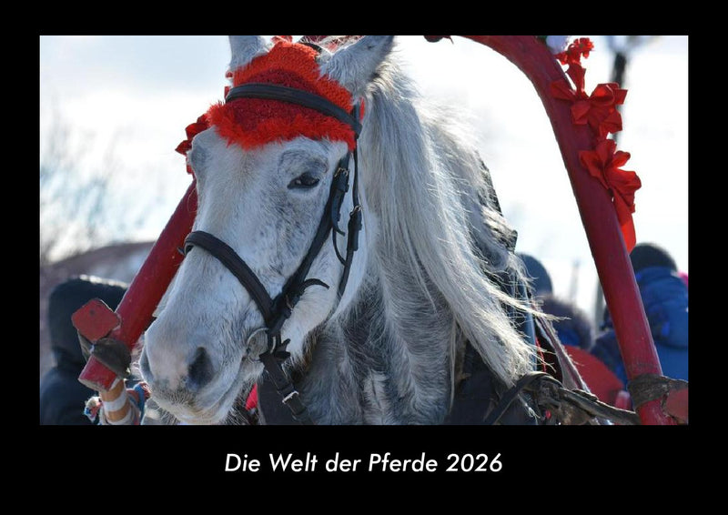 Die Welt der Pferde Fotokalender 2026 - Hauptbild