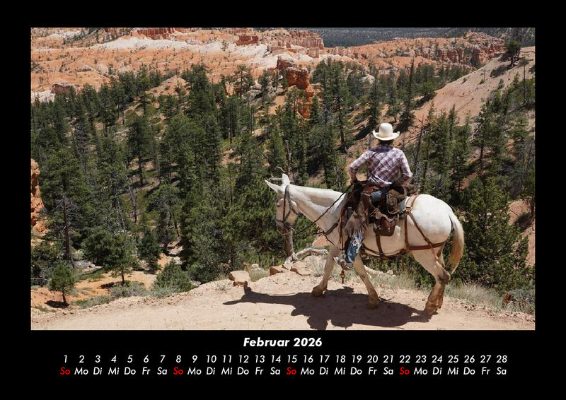 Die Welt der Pferde Fotokalender 2026 - 2