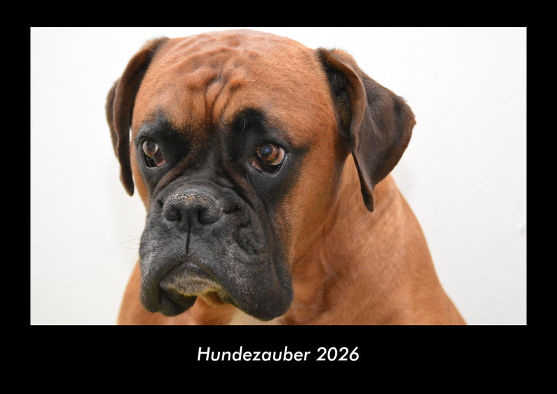 Hundezauber Fotokalender 2026 - Hauptbild