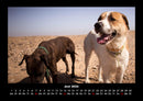 Hundezauber Fotokalender 2026 - 6