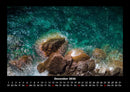 Sehnsucht nach Meer Fotokalender 2026 - 12