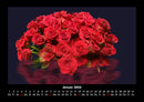 Rosen-Kalender Fotokalender 2026 - 1