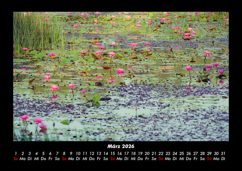 Rosen-Kalender Fotokalender 2026 - 3