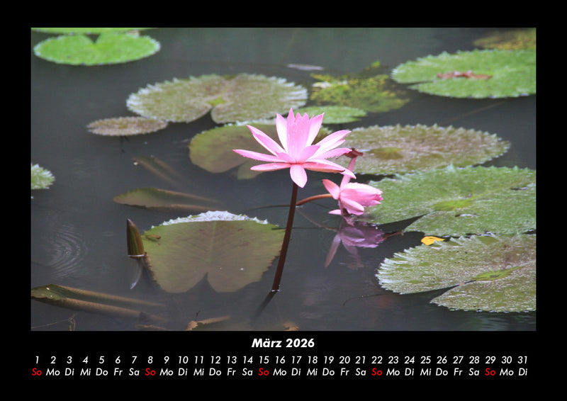 Die Seen der Erde Fotokalender 2026 - 3