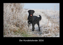 Der Hundekalender Fotokalender 2026 - Hauptbild