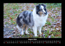 Der Hundekalender Fotokalender 2026 - 8