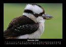 Vögel Fotokalender 2026 - 11