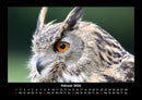 Vögel Fotokalender 2026 - 2