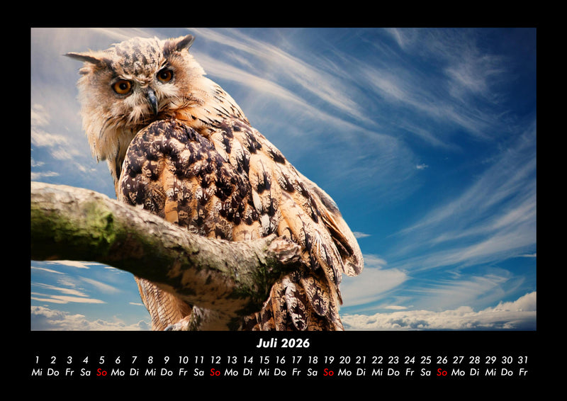 Vögel Fotokalender 2026 - 7