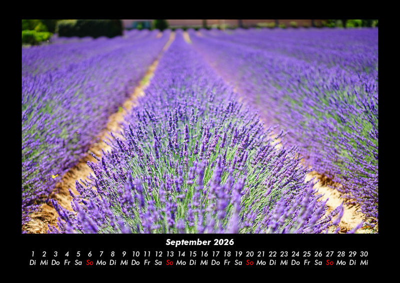 Blumenzauber Fotokalender 2026 - 9