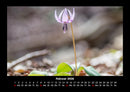Blumenzauber Fotokalender 2026 - 2